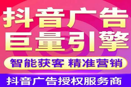 竞价广告的投放时机与频次选择——基于案例的探讨